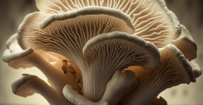Fungal Future: Exploring the Potential of Mushroom Computing