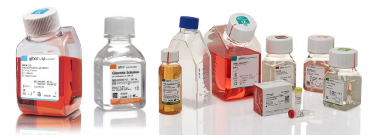 Cell Culture Media and Reagents