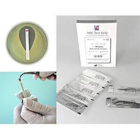 Plate with Liofilchem Antimycobacterial Susceptibility Testing Strip
