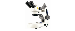 Educational Stereo Microscopes