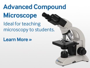 fisher-science-education-compound-microscopes