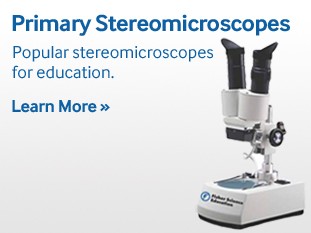 fisher-science-education-stereo-microscopes