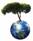 earth-tree