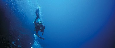 sea-diving-for-medicine-18-1603