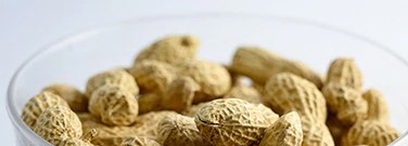new-treatments-fight-peanut-allergies-peanut-protein-arch-1761