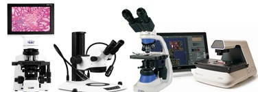 feature-microscopes-0828