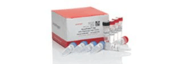 High-Fidelity PCR Reagents and Kits