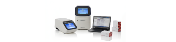 Rapid Detection with PCR