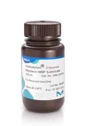 Immobilon Classico Western HRP Substrate