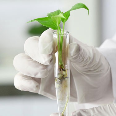 Green Labs: Paving the Way for Sustainable Research