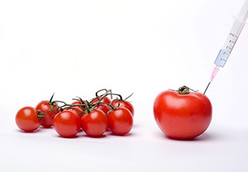 labreporter-tomatoe