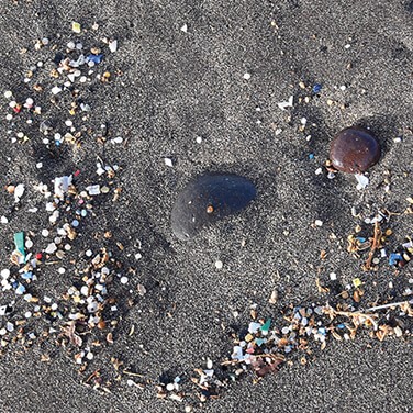 Microplastics washed up on a beach