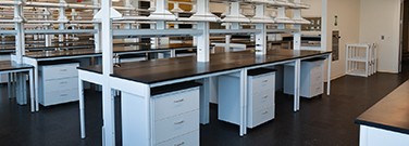 Productivity as a Goal in Lab Design and Layout