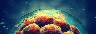 new-stem-cell-life-sciences-0828