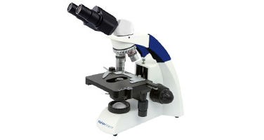 Fisherbrand Entry Level Upright Compound Microscopes
