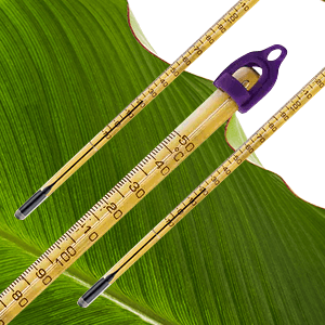 Double-Safe Thermometers