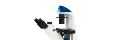 Research Zoom Stereo Microscopes