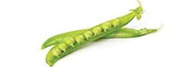 enviro-archive-from-peas-to-genomics-beyond-1761